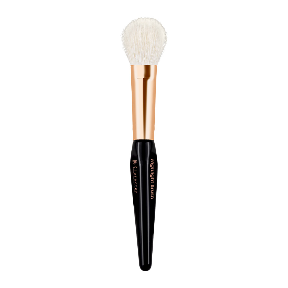 Character Highlight Brush - CSX027-KYAMSTORE