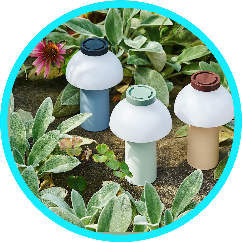 DIY & Garden