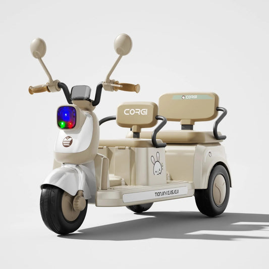 Double Seat Kids Electric Bike for 2-7 Years Old Tricycle Electric Motorcycle