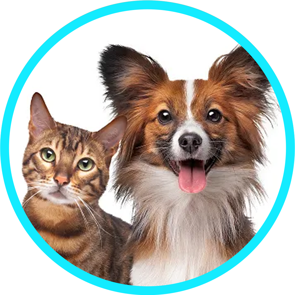 Pet Supplies